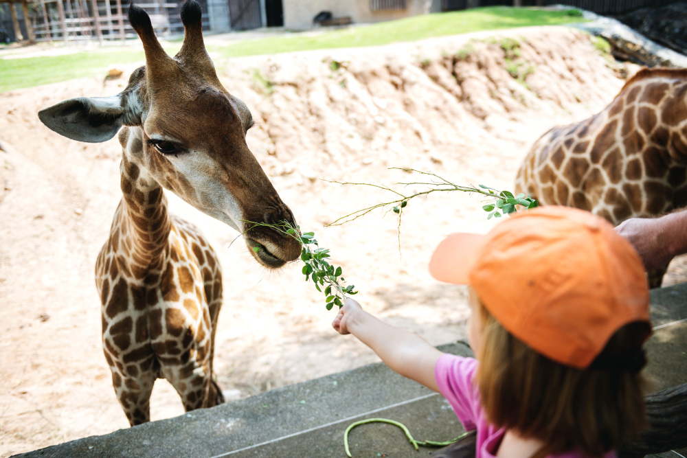 I_migliori_10_zoo_e_acquari_in_Italia_06a9bf2013