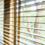 Zanzariera_Plissettata_Vantaggi_Estetici_e_Limiti_di_Funzionalita_5125a6155e