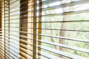 Zanzariera_Plissettata_Vantaggi_Estetici_e_Limiti_di_Funzionalita_5125a6155e